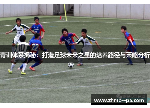青训体系揭秘：打造足球未来之星的培养路径与策略分析